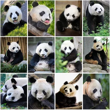 DIY Panda 5D Diamante Pintura Completa Praça de Broca Animal do Diamante Bordado de Ponto de Cruz Mosaico Kits de Arte de Parede de Presente a Decoração Home