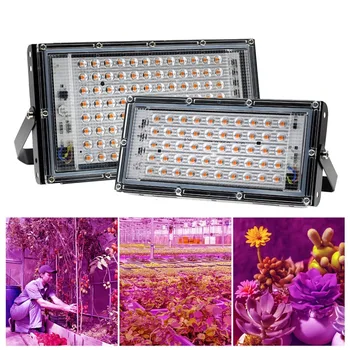 50W, 100W LED Cresce a Luz Phytolamp para as Plantas da C.A. 220V Espectro Completo do Projector do DIODO emissor de Flores, Mudas de Plantas em Crescimento Fito Lâmpada