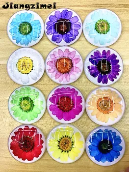 Jiangzimei 10pcs/lot Seca, flores, colorido, crisântemo,20mm Rodada foto cabochão de vidro Pulseiras, colar de Tomada de