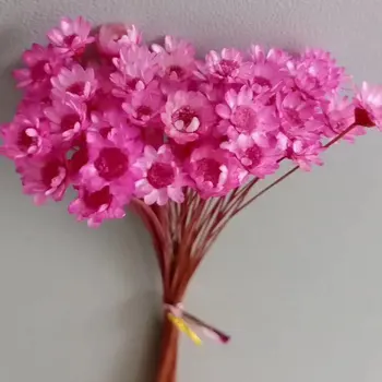50pcs Pequena Estrela Eterna Buquê de Flores DIY Ofício da Caixa de Presente Decoração Floral Material Flores Secas em Casa Arranjo Floral